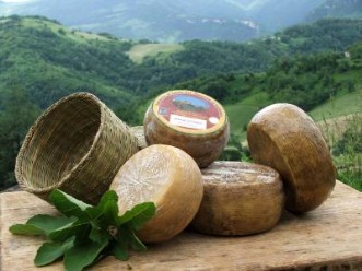 pecorino farindola